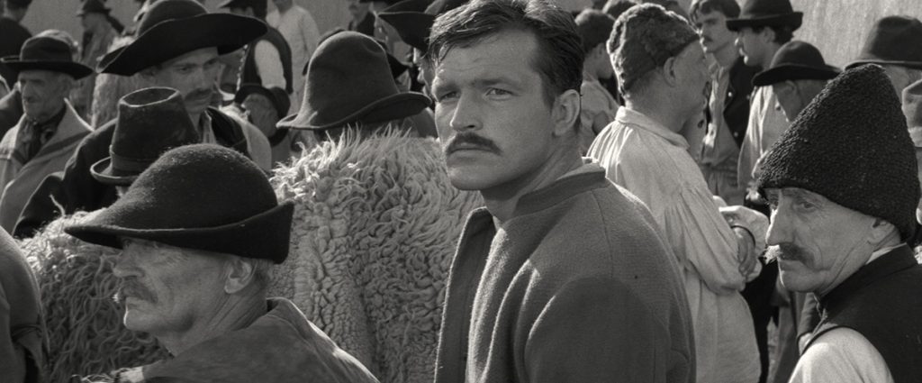 The Round-Up hungarian film restoration NYFF new york film festival